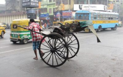 Sights and Sounds in Calcutta